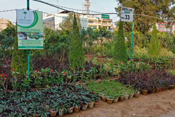 Plant Nurseries